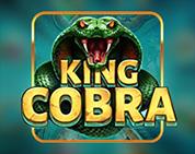 King Cobra